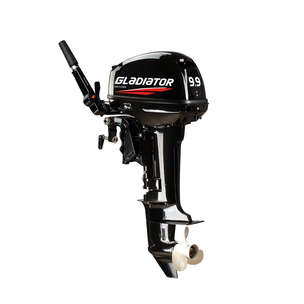 ЛОДОЧНЫЙ МОТОР GLADIATOR G9.9FHS в Армавире