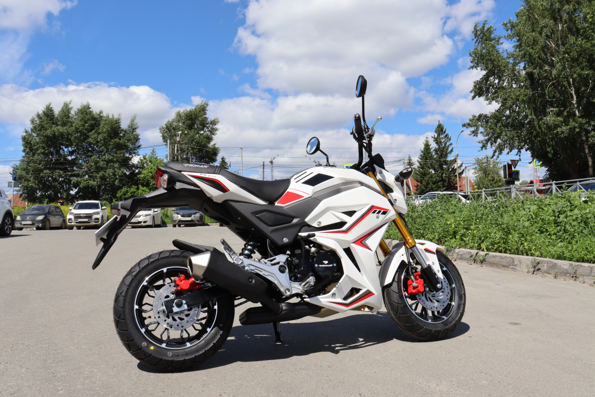 Мотоцикл PROMAX STRYKER 200(49) 2.0 в Армавире