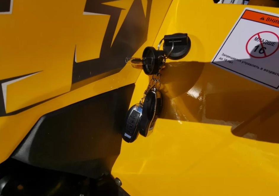 Квадроцикл MOTOLAND (МОТОЛЕНД) VOX200 WILD TRACK X PRO (баланс. вал) в Армавире