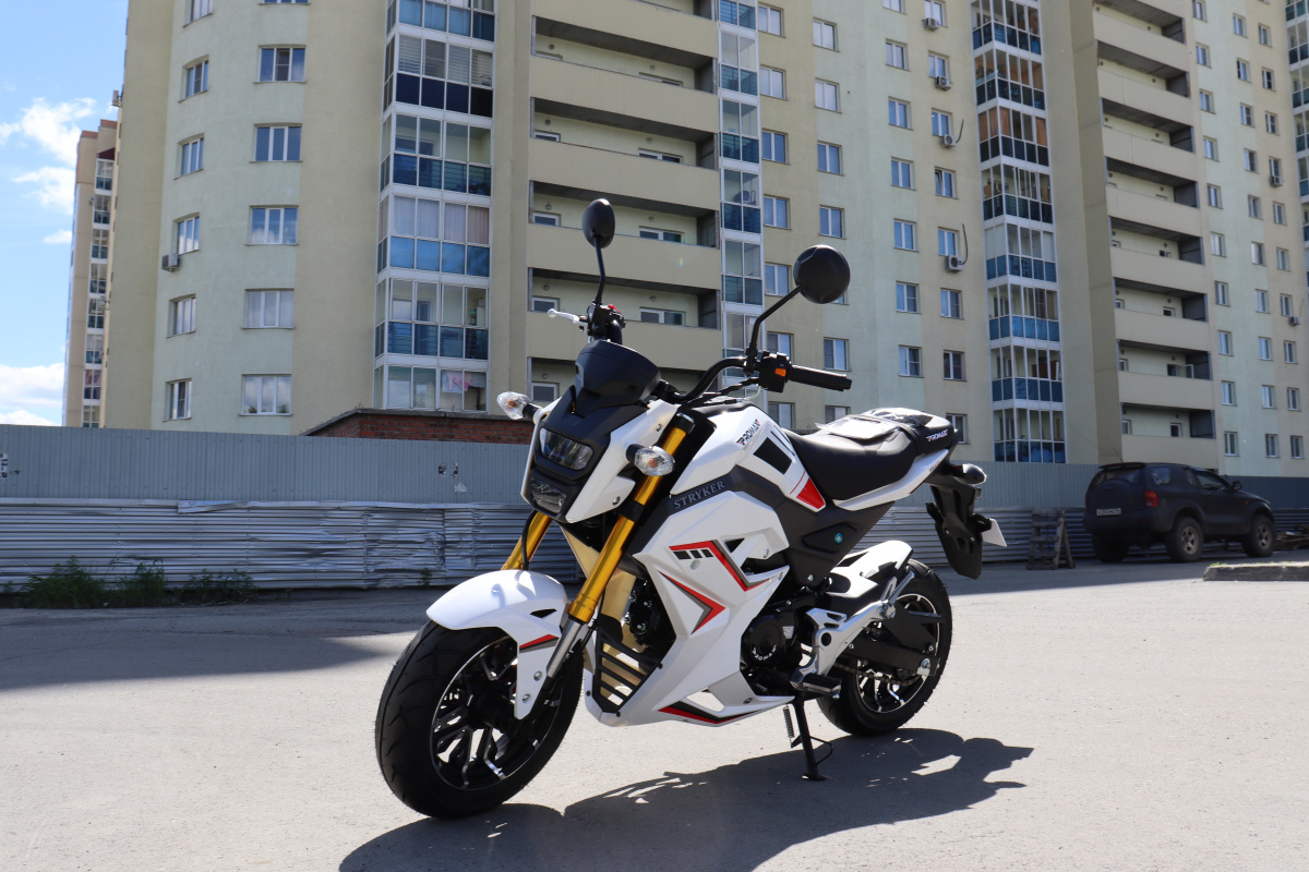 Мотоцикл PROMAX STRYKER 200(49) 2.0 в Армавире