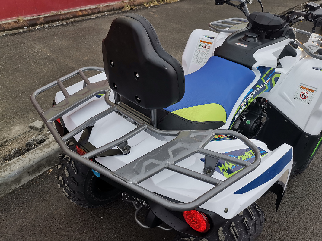 Квадроцикл PROMAX RENEGADE 280 LUX (2025) в Армавире
