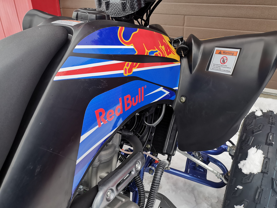 Квадроцикл PROMAX RAPTOR 300 NEW RedBull в Армавире
