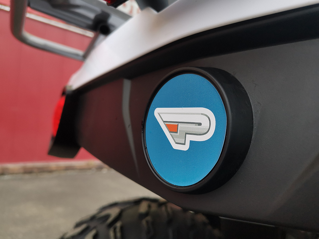 Квадроцикл PROMAX RENEGADE 280 LUX (2025) в Армавире