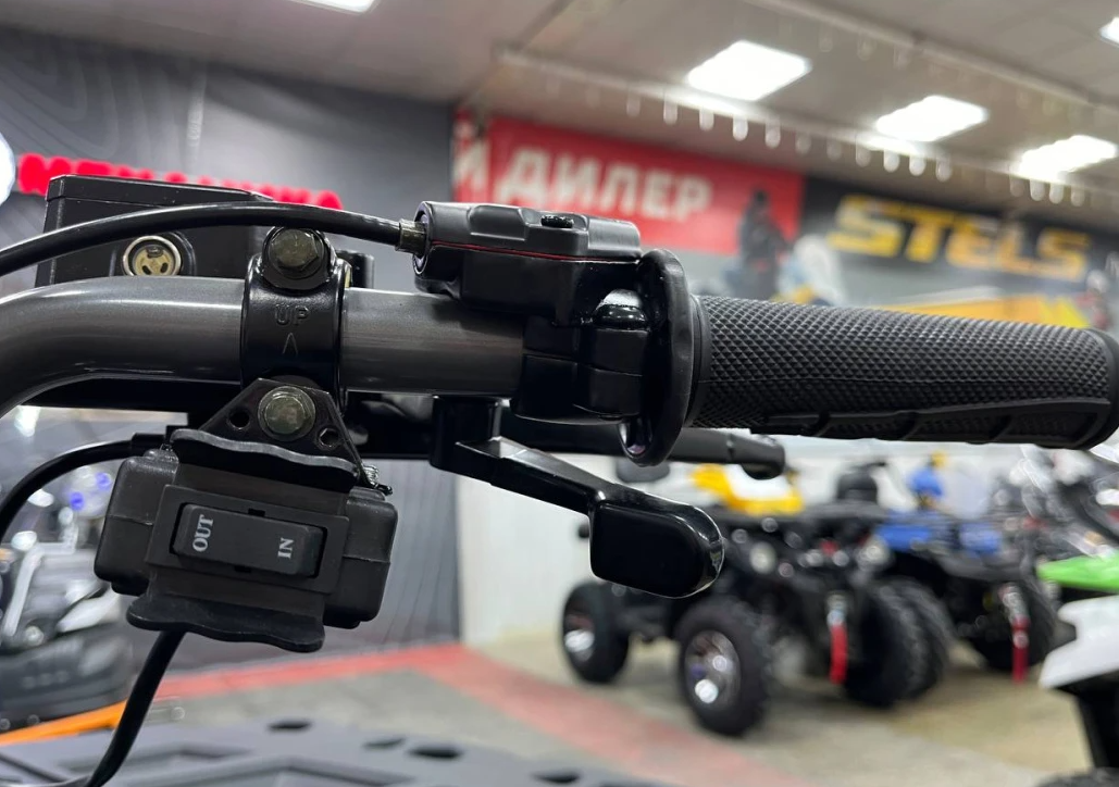 Квадроцикл PROMAX RENEGADE 300 LONG WINCH PRO (2025) в Армавире