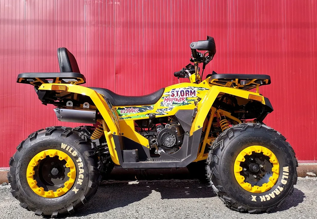 Квадроцикл PROMAX STORM 280 LUX в Армавире