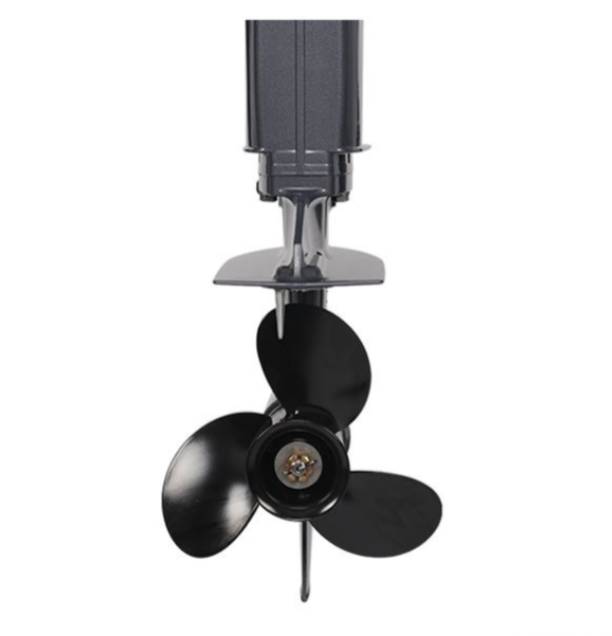 Лодочный мотор ALLFA CG Т40FW S в Армавире