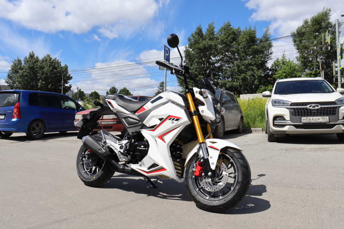 Мотоцикл PROMAX STRYKER 200(49) 2.0 в Армавире