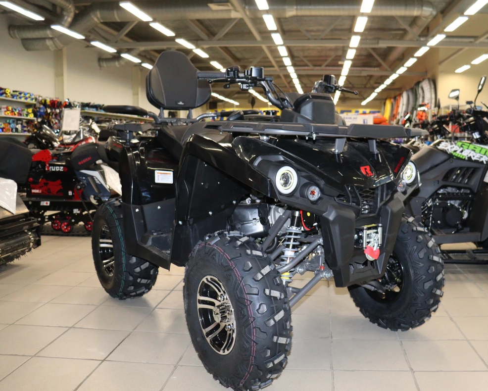 Квадроцикл PROMAX RENEGADE 300 LONG WINCH PRO (2025) в Армавире