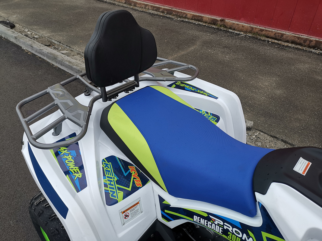 Квадроцикл PROMAX RENEGADE 280 LUX (2025) в Армавире