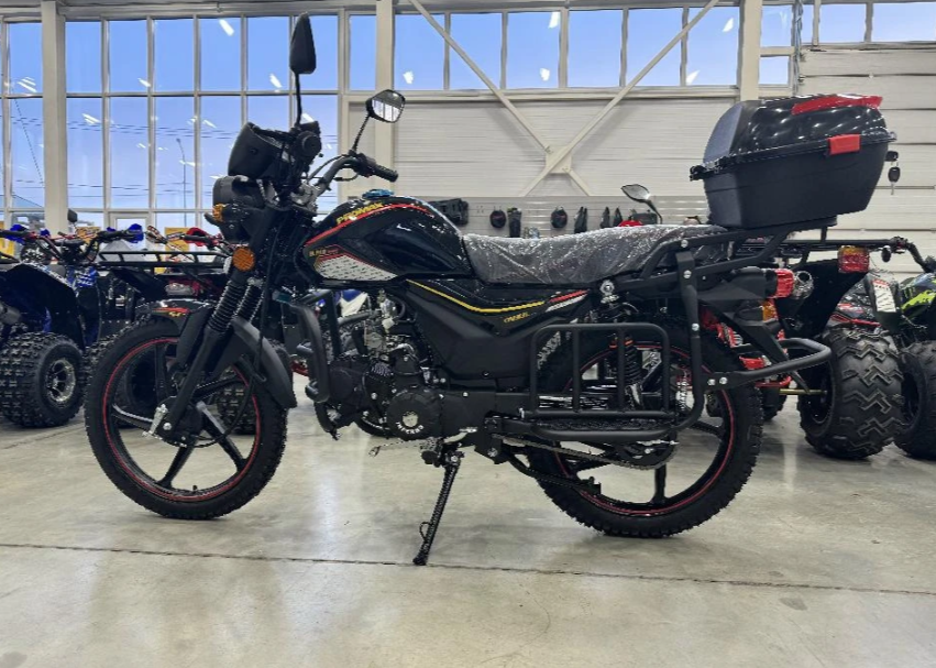 Мопед PROMAX ALPHA TOURIST 150(49) LUX в Армавире