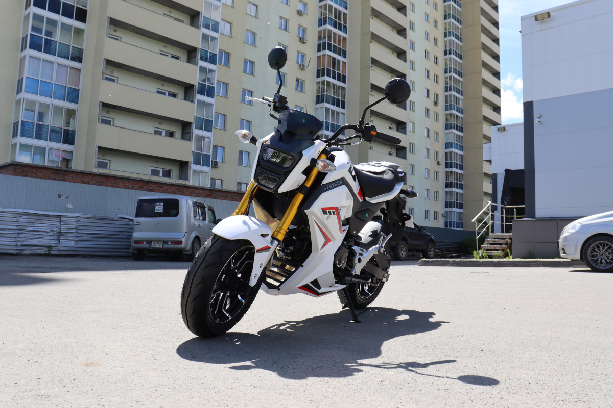 Мотоцикл PROMAX STRYKER 200(49) 2.0 в Армавире