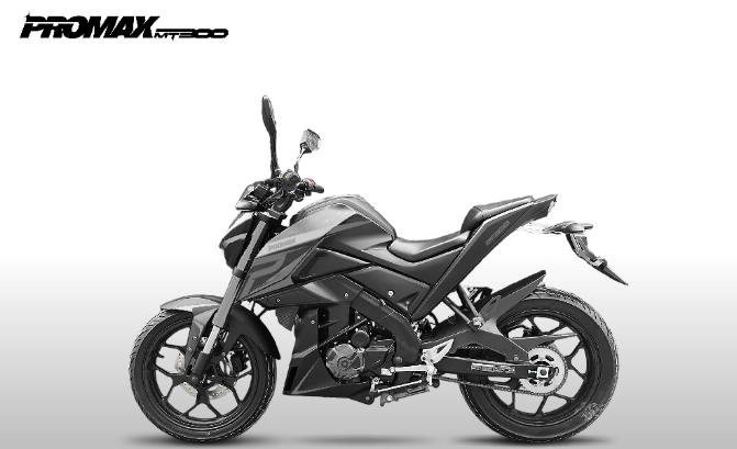 Мотоцикл PROMAX MT300 в Армавире