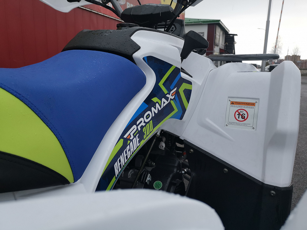 Квадроцикл PROMAX RENEGADE 280 LUX (2025) в Армавире