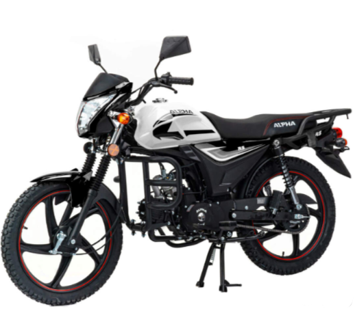 Мопед MOTOLAND (МОТОЛЕНД) Альфа RS 11 (LM48-B) в Армавире