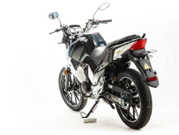 Мотоцикл MOTOLAND (МОТОЛЕНД) FIGHTER 250 в Армавире