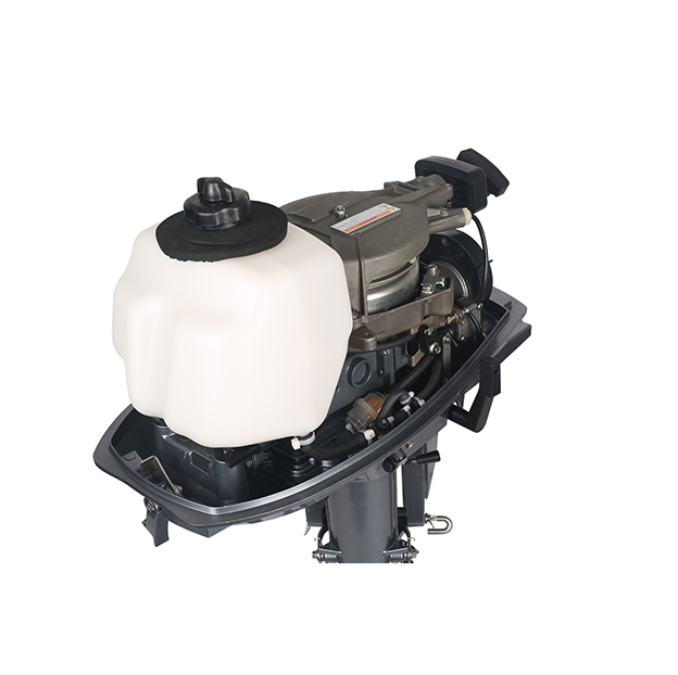 ЛОДОЧНЫЙ МОТОР ALLFA CG T5 в Армавире