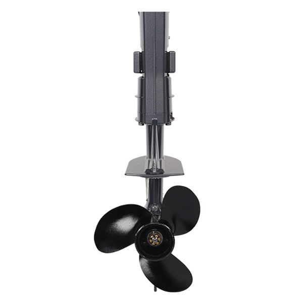 ЛОДОЧНЫЙ МОТОР ALLFA CG T9,8 Limit в Армавире