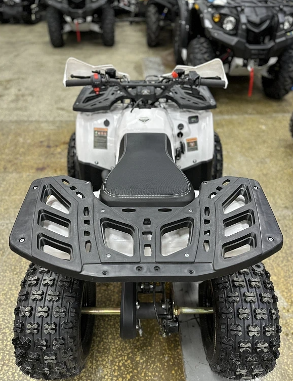 Квадроцикл PROMAX WILD 2.0 190 в Армавире