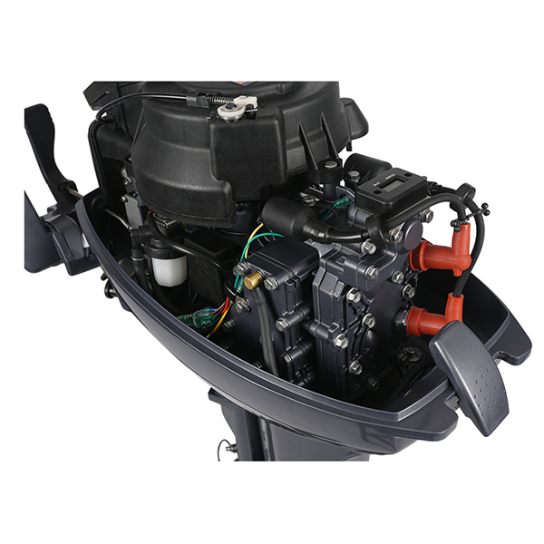 ЛОДОЧНЫЙ МОТОР ALLFA CG Т9,9 в Армавире