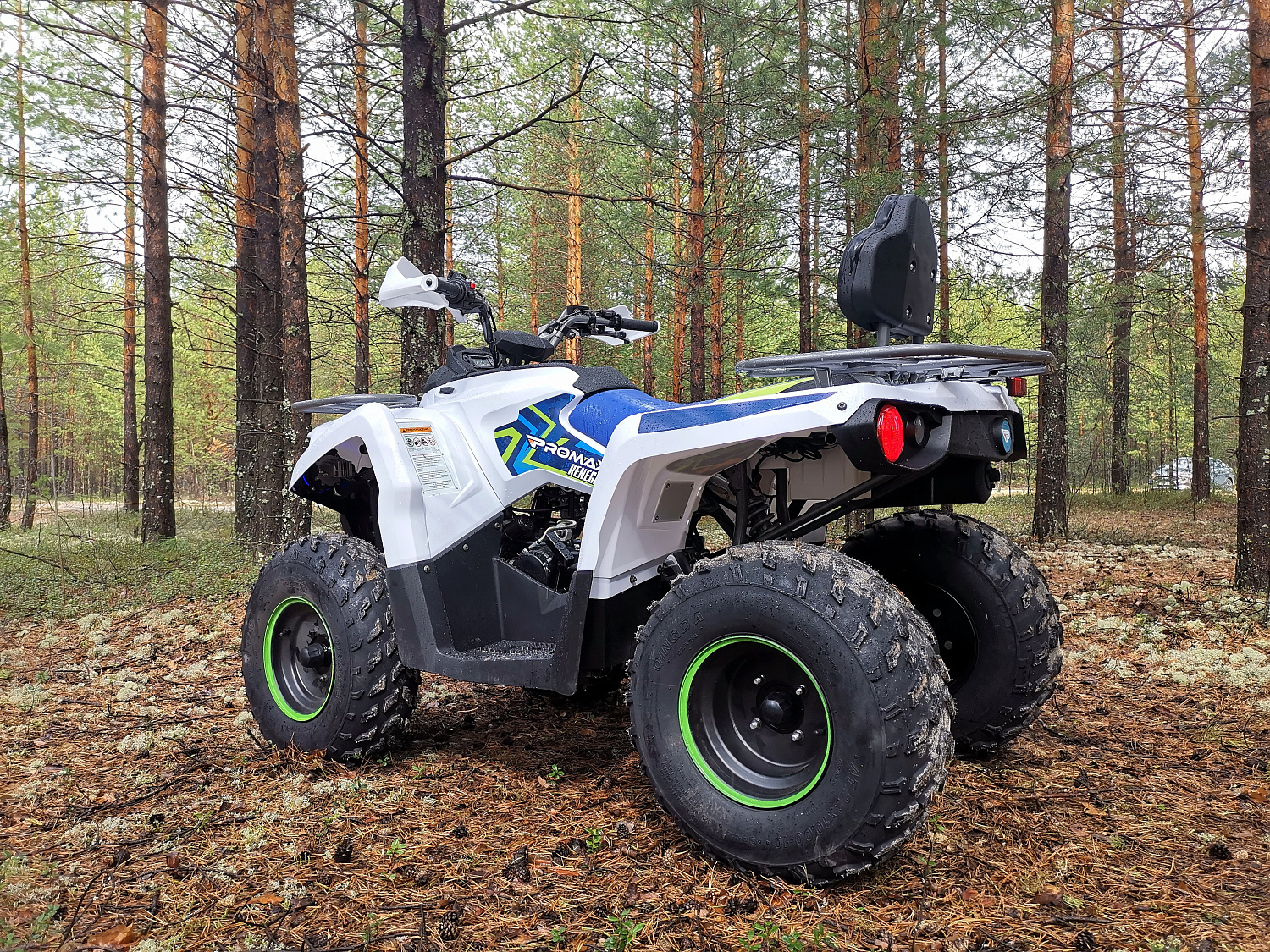 Квадроцикл PROMAX RENEGADE 280 (2025) в Армавире