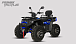 Квадроцикл PROMAX TAURUS 300 MAX-PRO LONG в Армавире