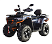 Квадроцикл MOTOLAND (МОТОЛЕНД) 300 MAX X в Армавире