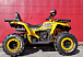 Квадроцикл PROMAX STORM 280 LUX в Армавире