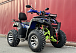  Квадроцикл PROMAX ATV 250 MAX (2025) в Армавире