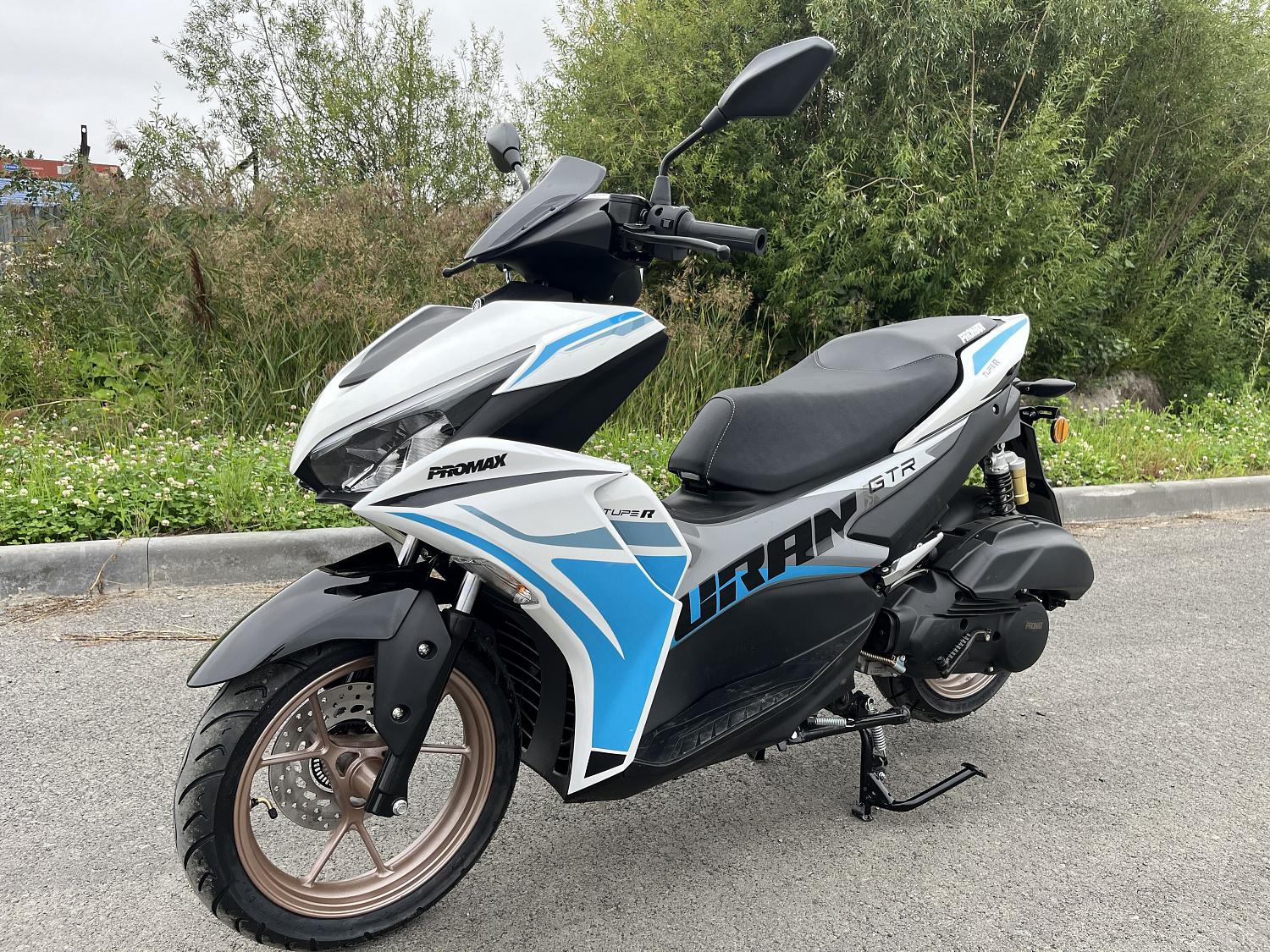 Скутер PROMAX TURAN 250 (49) в Армавире