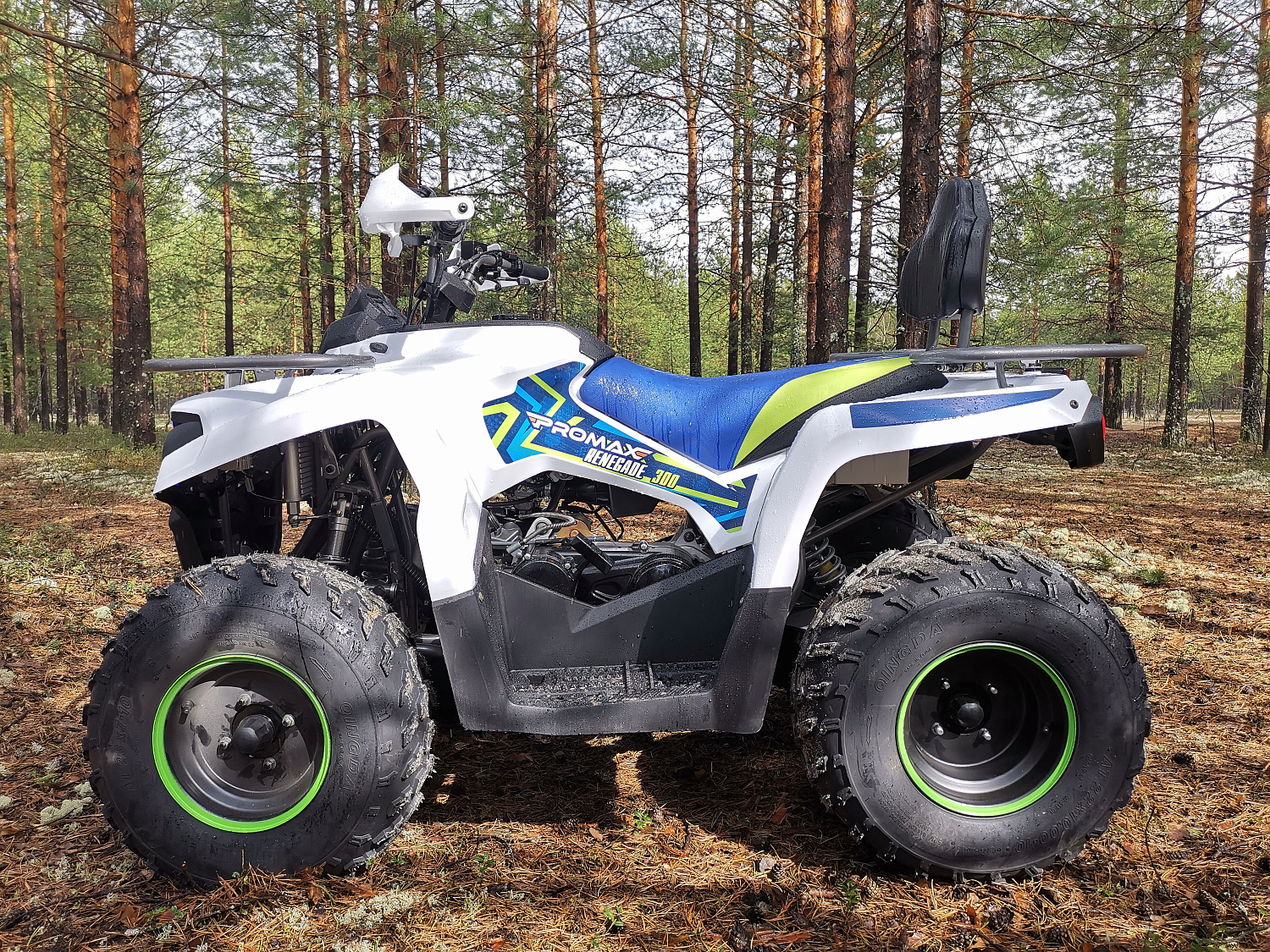 Квадроцикл PROMAX RENEGADE 280 (2025) в Армавире