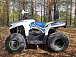 Квадроцикл PROMAX RENEGADE 280 (2025) в Армавире