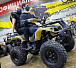 Квадроцикл PROMAX ATV 250 (2025) в Армавире