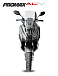 МаксиСкутер PROMAX-HONDA ADV 150 (49) (Inspired by HONDA) в Армавире