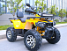 Квадроцикл MOTOLAND (МОТОЛЕНД) VOX200 WILD TRACK X PRO (баланс. вал) в Армавире
