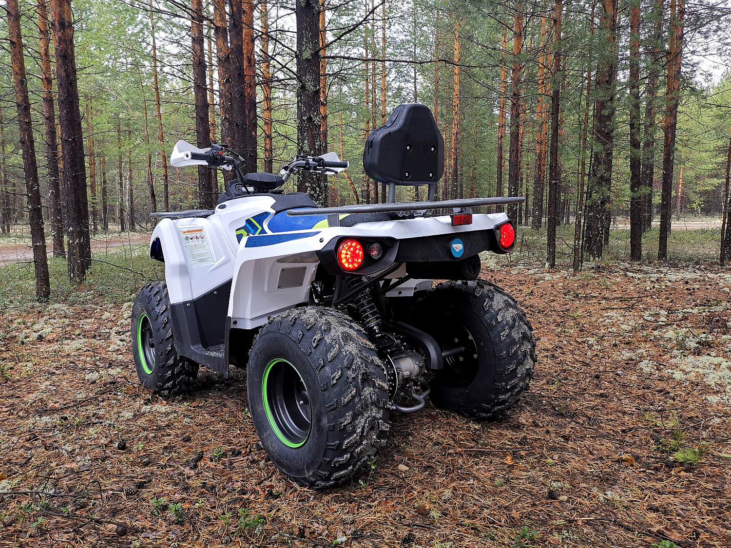 Квадроцикл PROMAX RENEGADE 280 (2025) в Армавире