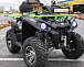 Квадроцикл PROMAX RENEGADE 280 WINCH PRO (2025) в Армавире