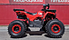 Квадроцикл PROMAX WILD 175 BASIC в Армавире