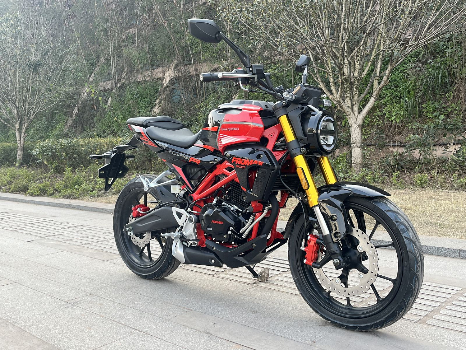 Мотоцикл PROMAX CB300 в Армавире