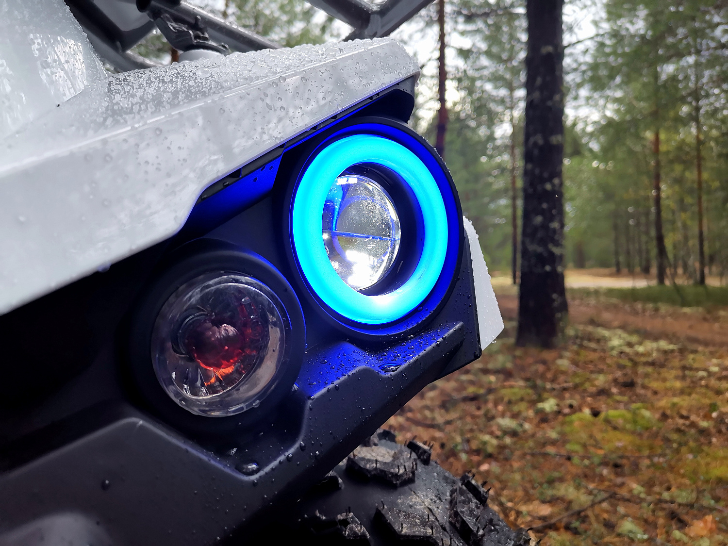 Квадроцикл PROMAX RENEGADE 280 (2025) в Армавире