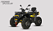 Квадроцикл PROMAX TAURUS 300 MAX-PRO LONG в Армавире
