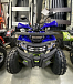 Квадроцикл PROMAX WILD 2.0 190 PRO (2025) в Армавире